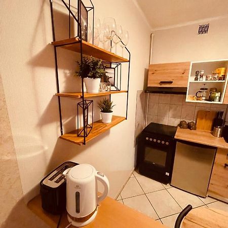 Apartamenty Ktw Park Slaski Luksusowy Prl 卡托维兹 外观 照片