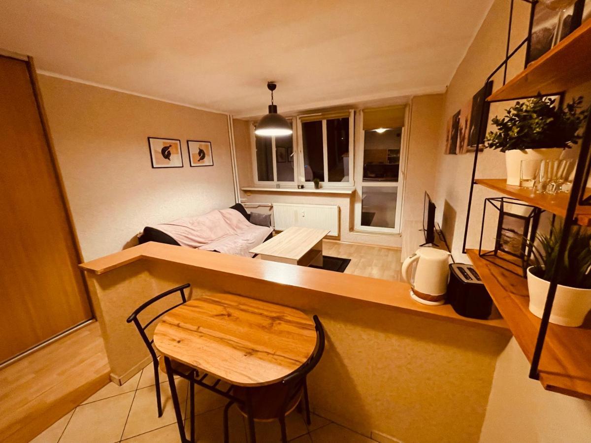 Apartamenty Ktw Park Slaski Luksusowy Prl 卡托维兹 外观 照片