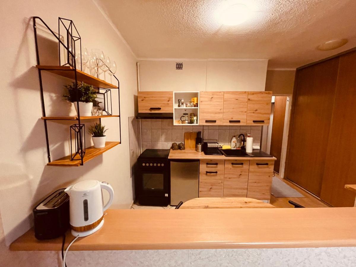 Apartamenty Ktw Park Slaski Luksusowy Prl 卡托维兹 外观 照片