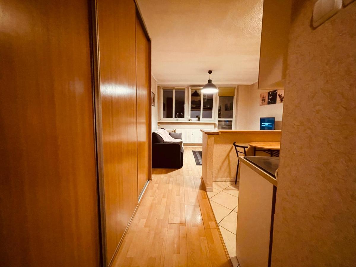 Apartamenty Ktw Park Slaski Luksusowy Prl 卡托维兹 外观 照片