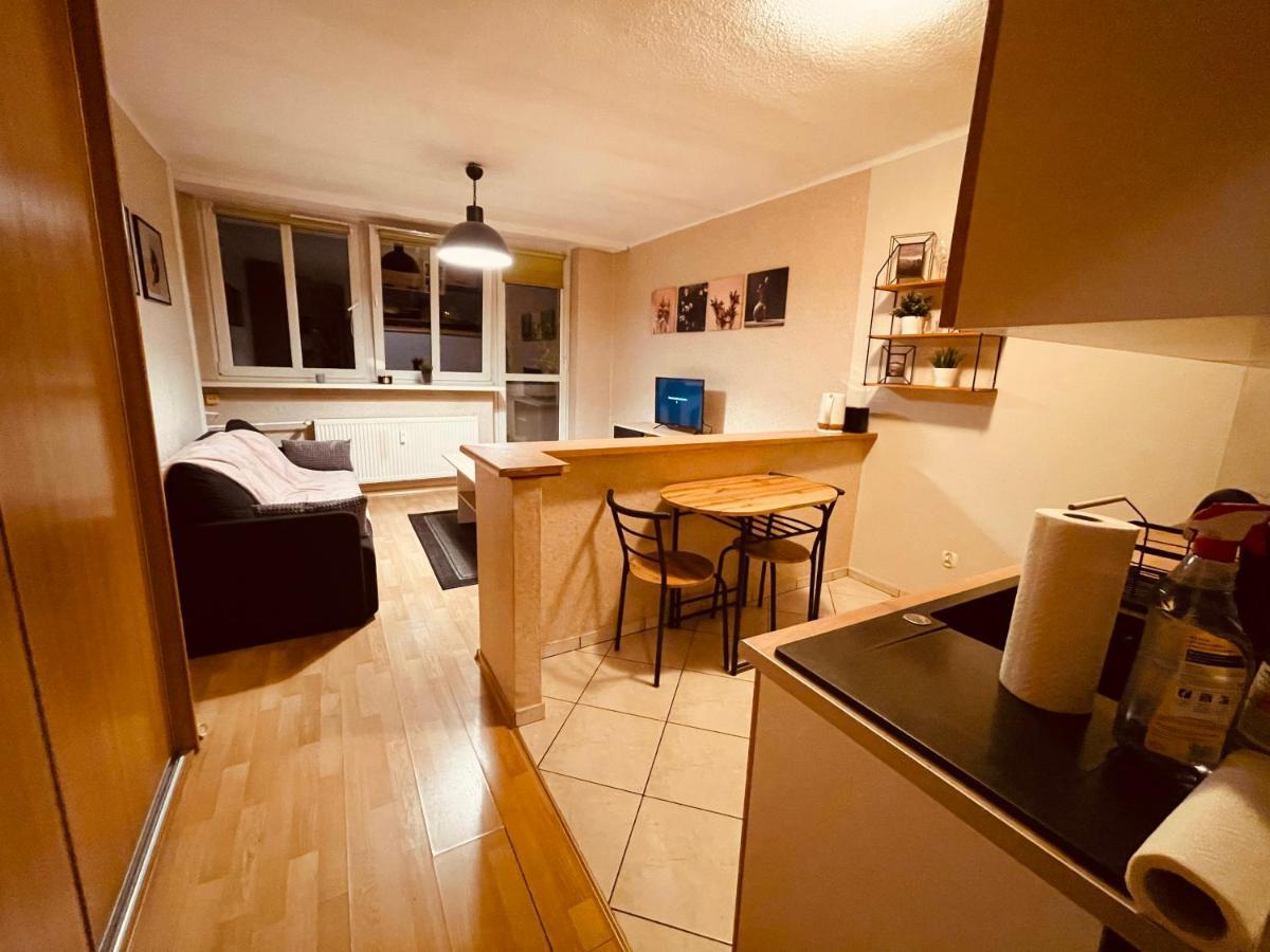 Apartamenty Ktw Park Slaski Luksusowy Prl 卡托维兹 外观 照片
