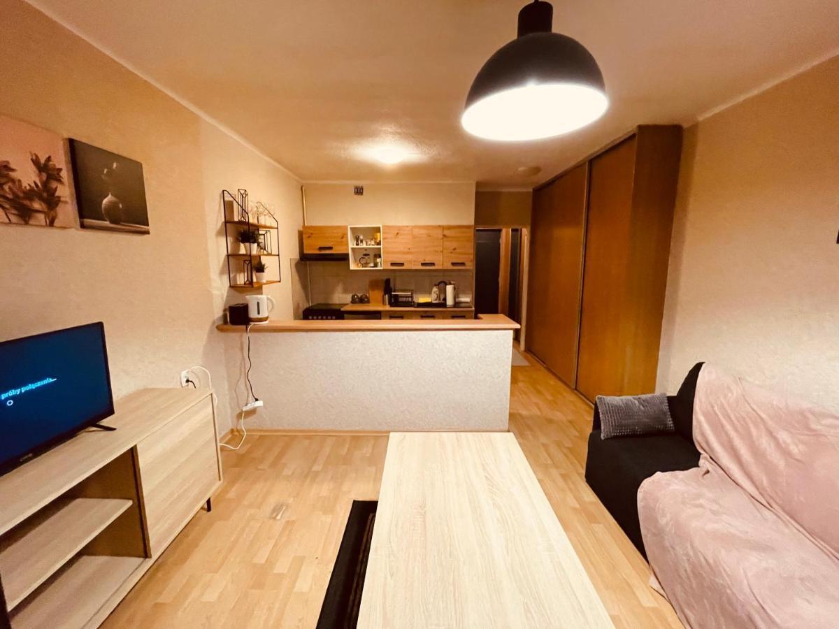 Apartamenty Ktw Park Slaski Luksusowy Prl 卡托维兹 外观 照片